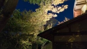 京都・紅葉の名所高台寺