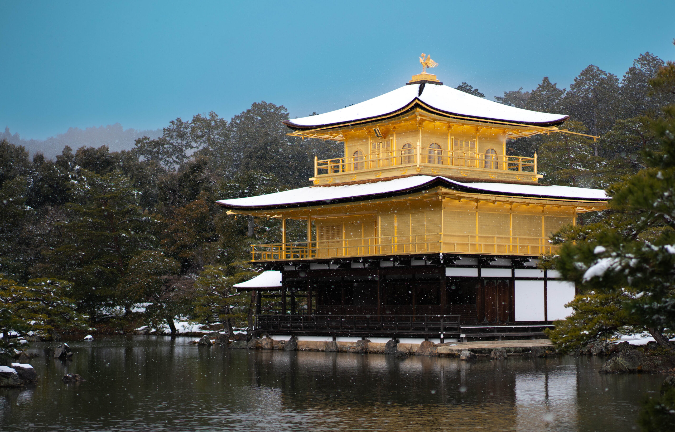 京都・冬の金閣寺